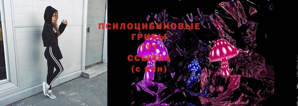 apvp Михайлов