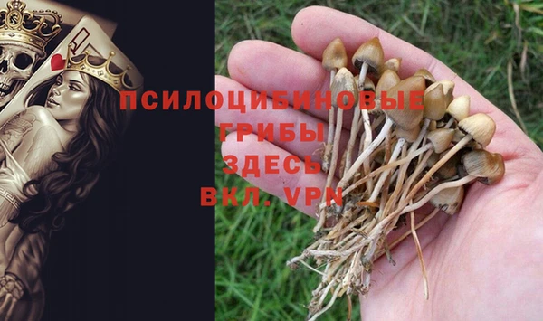 apvp Михайлов