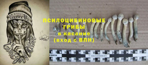 ECSTASY Медногорск