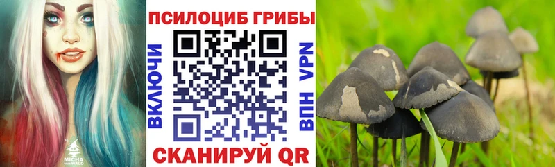 Псилоцибиновые грибы Magic Shrooms Нерчинск